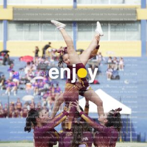 Vixra Joy03974 Compressed