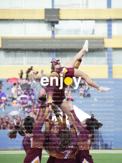 Vixra Joy03975 Compressed