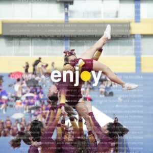 Vixra Joy03975 Compressed