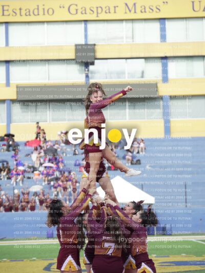 Vixra Joy03980 Compressed