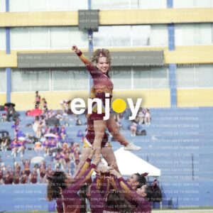 Vixra Joy03981 Compressed
