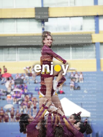 Vixra Joy03986 Compressed