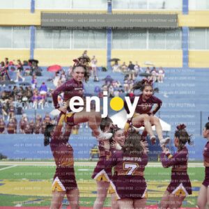 Vixra Joy03990 Compressed