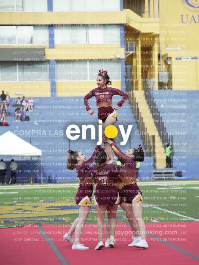 Vixra Joy03994 Compressed