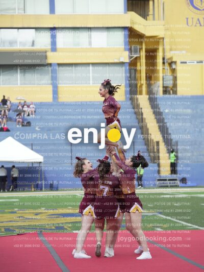 Vixra Joy03995 Compressed
