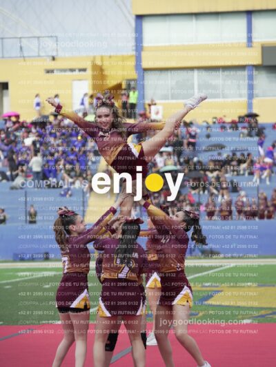 Vixra Joy04001 Compressed