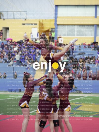 Vixra Joy04004 Compressed