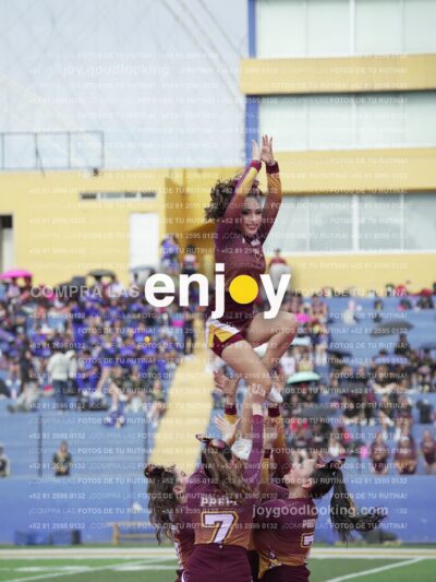 Vixra Joy04006 Compressed