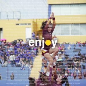 Vixra Joy04006 Compressed