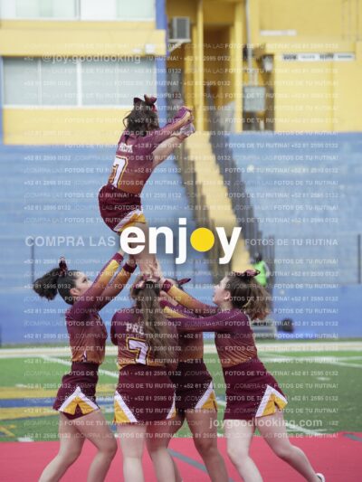 Vixra Joy04009 Compressed
