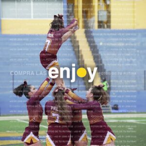 Vixra Joy04009 Compressed