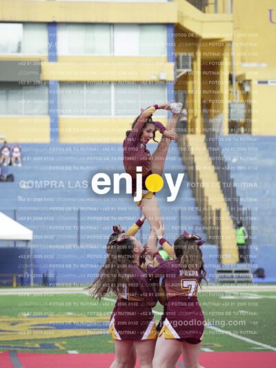 Vixra Joy04010 Compressed