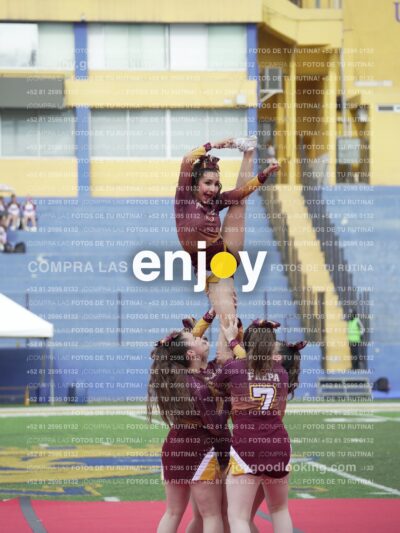Vixra Joy04011 Compressed
