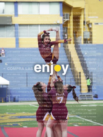 Vixra Joy04012 Compressed