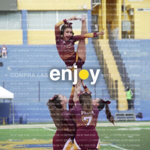 Vixra Joy04012 Compressed