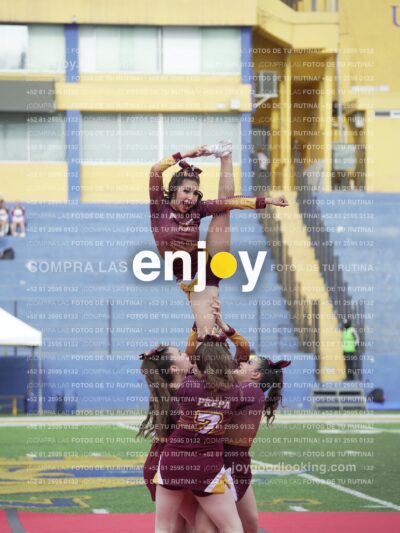 Vixra Joy04014 Compressed