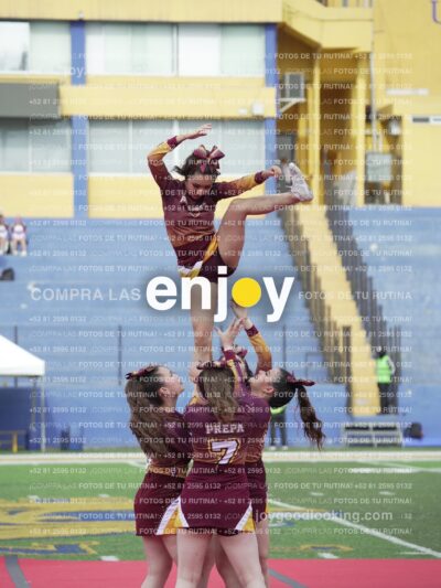 Vixra Joy04016 Compressed
