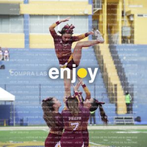 Vixra Joy04016 Compressed