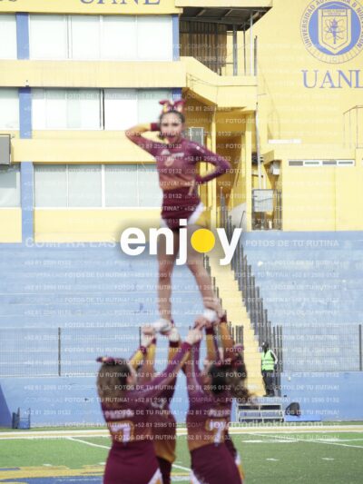 Vixra Joy04024 Compressed