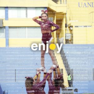 Vixra Joy04024 Compressed