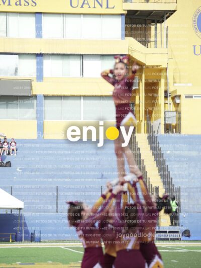 Vixra Joy04025 Compressed