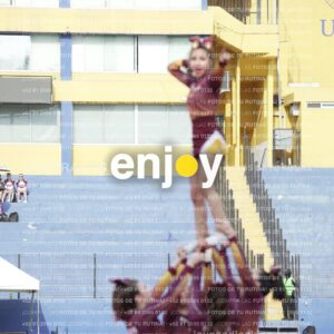 Vixra Joy04025 Compressed