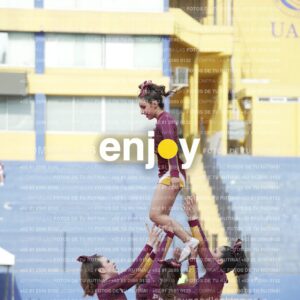 Vixra Joy04026 Compressed