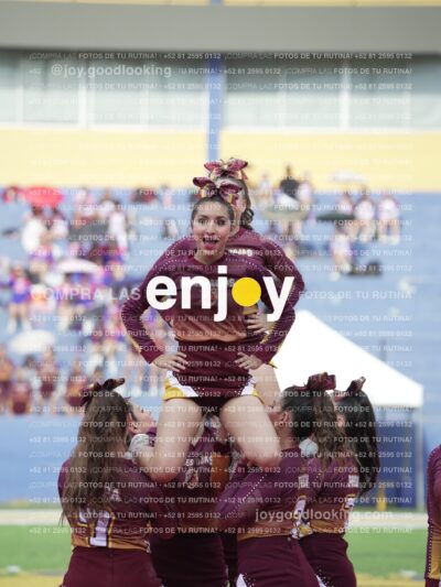 Vixra Joy04032 Compressed