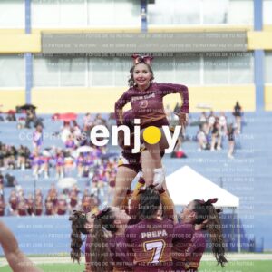 Vixra Joy04040 Compressed