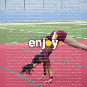 Vixra Joy04043 Compressed