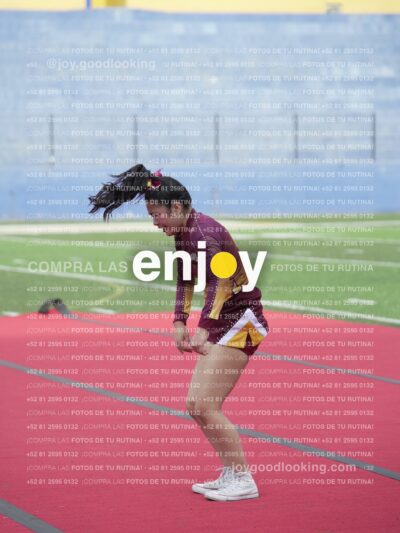 Vixra Joy04044 Compressed