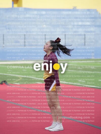 Vixra Joy04045 Compressed