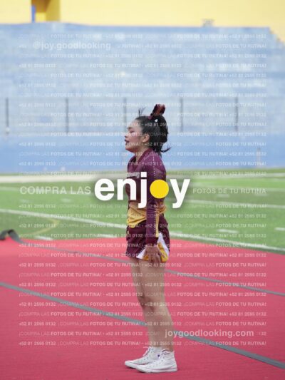Vixra Joy04046 Compressed