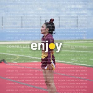 Vixra Joy04046 Compressed