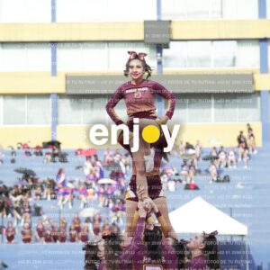 Vixra Joy04049 Compressed