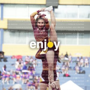 Vixra Joy04054 Compressed