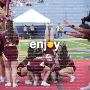 Vixra Joy04067 Compressed