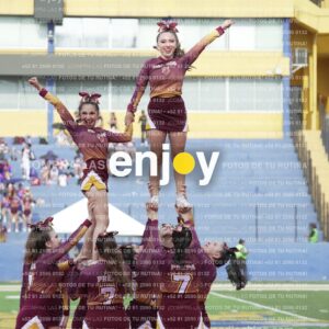 Vixra Joy04074 Compressed