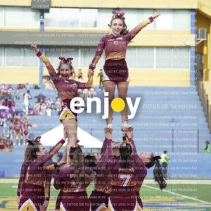 Vixra Joy04075 Compressed