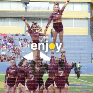 Vixra Joy04076 Compressed