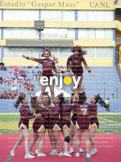 Vixra Joy04078 Compressed