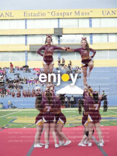 Vixra Joy04080 Compressed