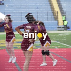 Vixra Joy04085 Compressed