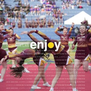 Vixra Joy04086 Compressed
