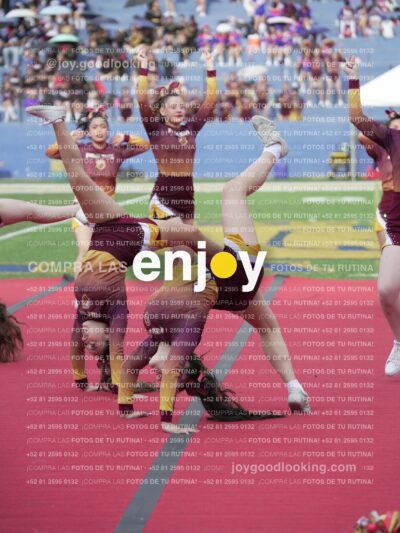 Vixra Joy04087 Compressed