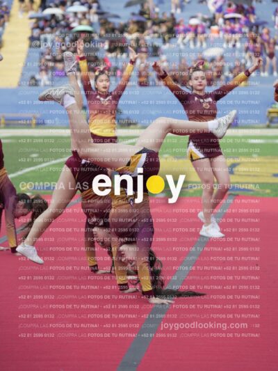 Vixra Joy04088 Compressed