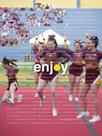 Vixra Joy04090 Compressed