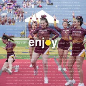 Vixra Joy04090 Compressed