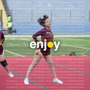 Vixra Joy04092 Compressed