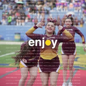 Vixra Joy04095 Compressed